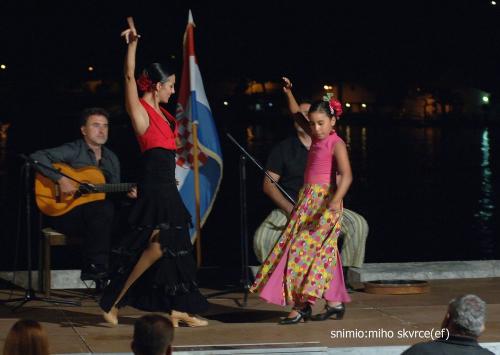flamenko-yzd.jpg